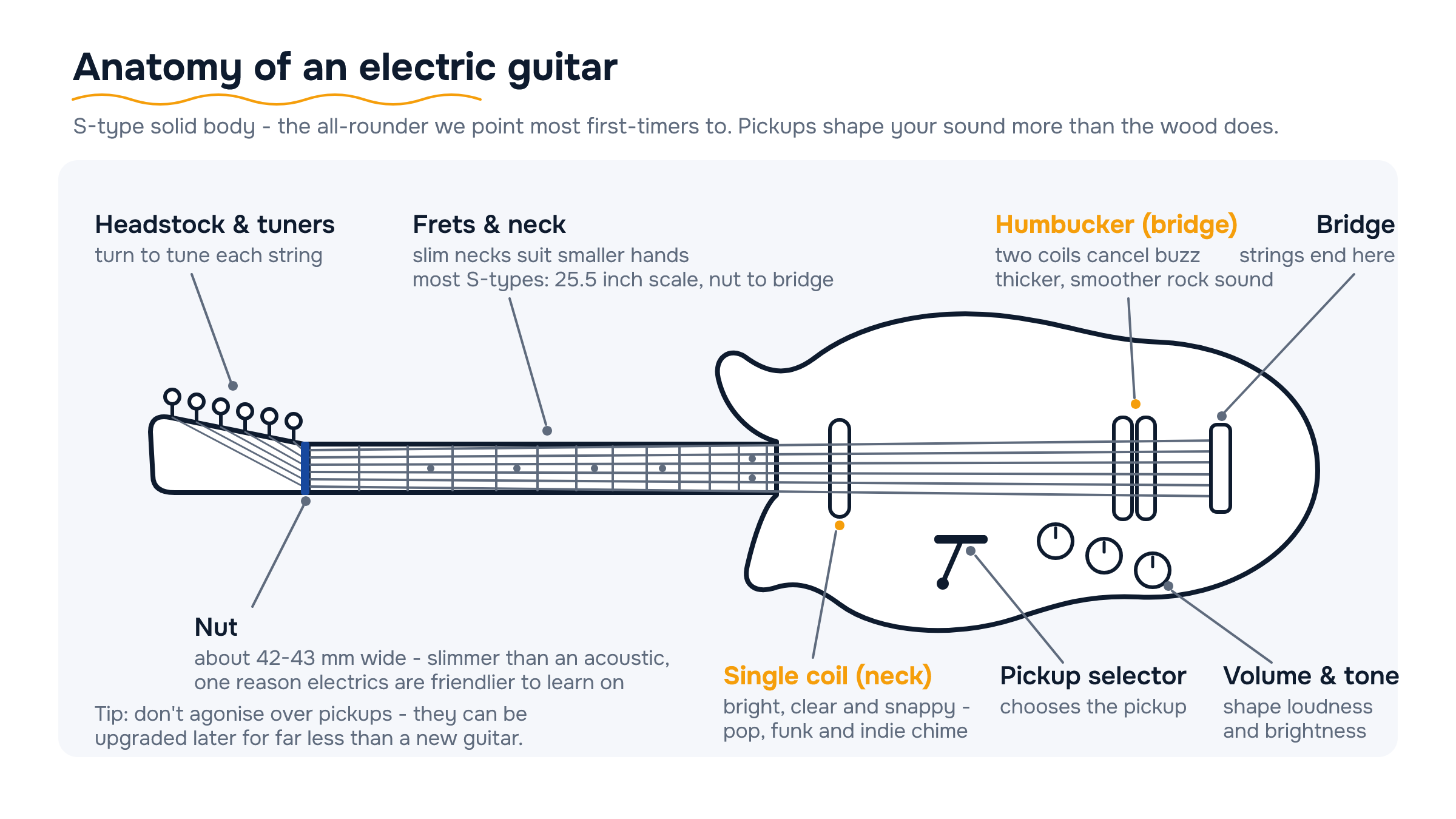 Labelled S-type electric guitar: headstock, tuners, nut, frets, single-coil and humbucker pickups, selector, controls, bridge.