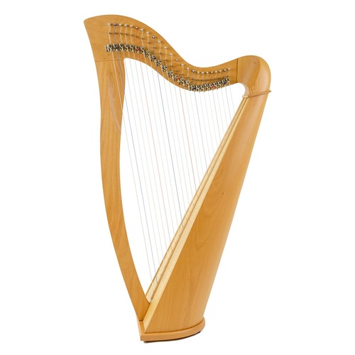 24 String Folk Harp with Plain Sides and Soft Gig Bag