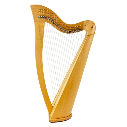 22 String Folk Harp - Plain Sides - Round Back with Soft Gig Bag