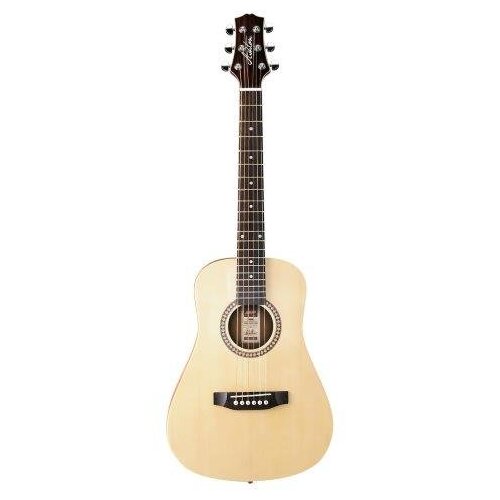 Ashton JOEYCOUSTIC Ntm Acoustic Guitar