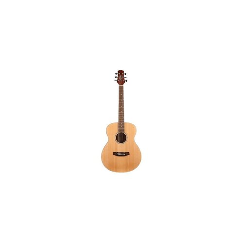 Ashton JJR20NTM Acoustic Guitar