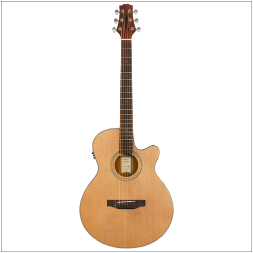 Ashton ACOUSTIC/ELECTRIC Guitar W/C-Ay Cedar Tk45Sceq