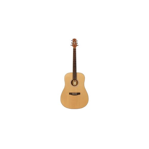 Ashton D20SNTM Solid Top Acoustic Guitar