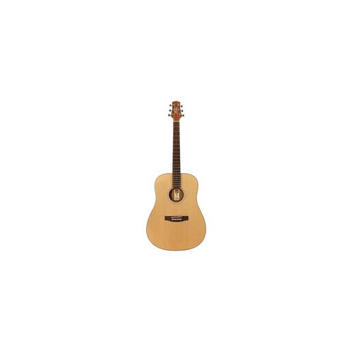 Ashton D20SNT Dreadnought Solid Top Acoustic Guitar