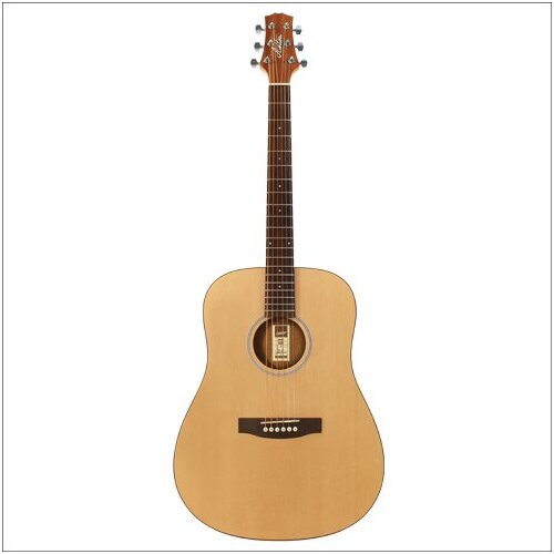 Ashton Dreadnought Size Guitar Spr-T Nat Matt Bwd-B/S