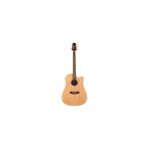 Ashton D20CEQNT Dreadnought Cutaway And Eq
