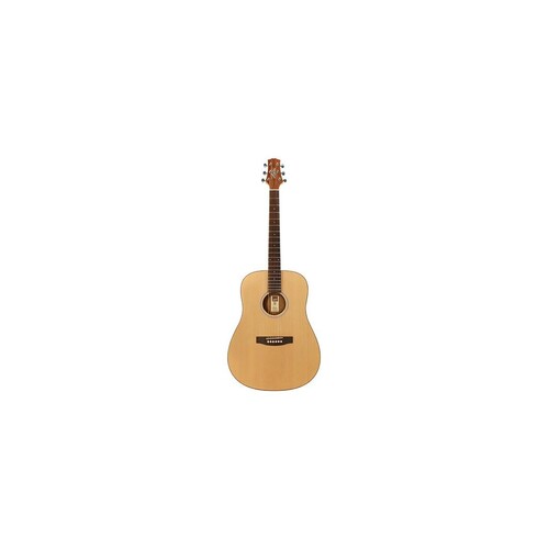 Ashton D20 Nt Acoustic Guitar