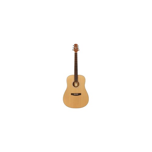 Ashton D20 Nt Acoustic Guitar