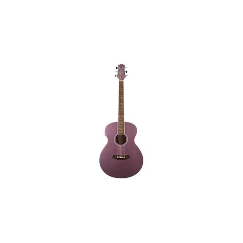 Ashton SL20EQLS Slimline Acoustic Eq