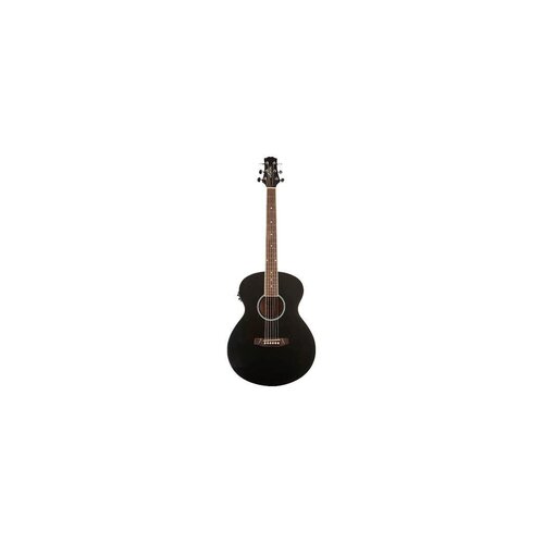 Ashton SL20EQBKS Slimline Acoustic Eq