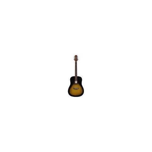 Ashton D20 Tobacco Sunburst & Apwcc Pack