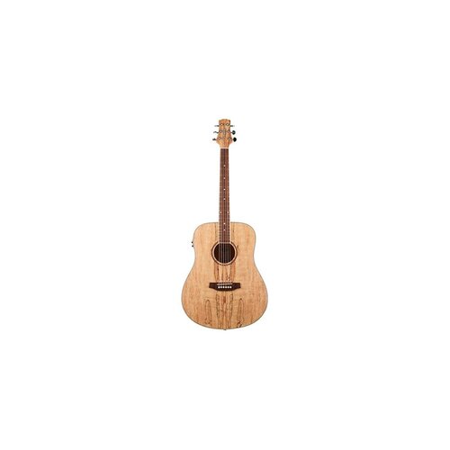 Ashton D26EQ Spm Dreadnought Spalted Maple Eq