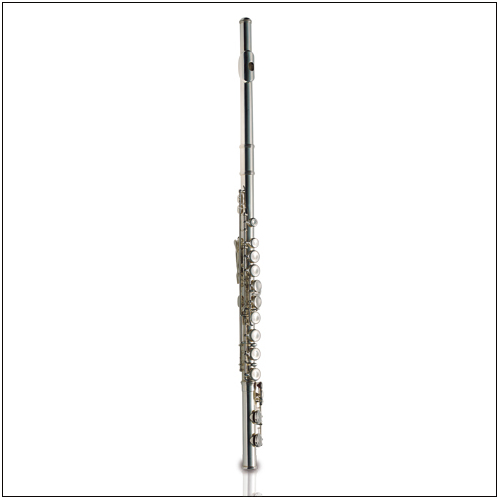 Ashton Flute Student Silverplated Outfit Fl10
