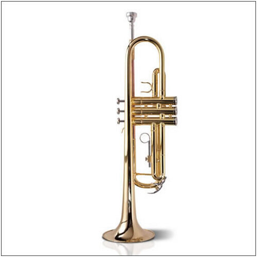 Ashton B Flat Trumpet Outfit Tr10