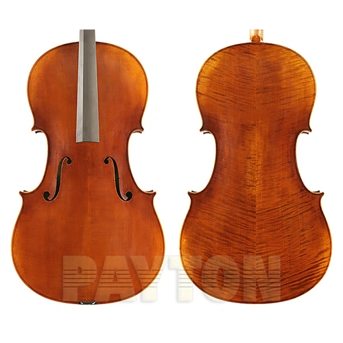 Peter Guan Master Cello No.7.0 Strad, Solid Spruce Top, Flamed Maple Back, Neck & Sides, Ebony Fingerboard, Oil Varnish