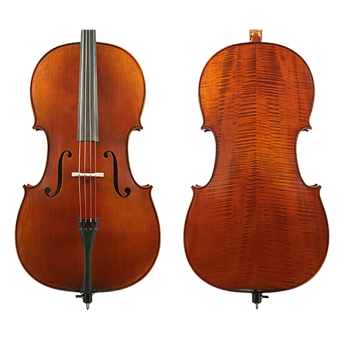 Vasile Gliga Advanced Cello 4/4 with Carpathian Spruce Top and Sycamore Maple Back