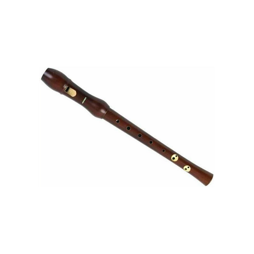 C-Soprano Plastic Wood Lacquer Recorder with 2 Parts and German Fingering