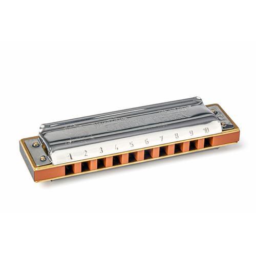Hohner Sonny Terry 10-Hole Diatonic Harmonica
