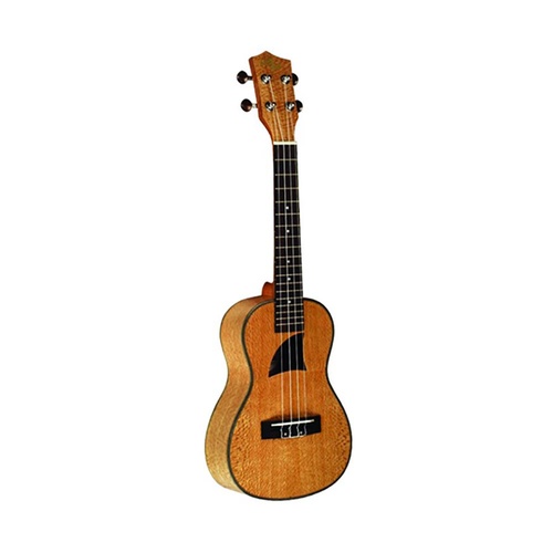 Eddy Finn Lacewood Concert Ukulele EF-16 High Gloss