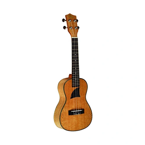 Eddy Finn EF-16 Concert Ukulele - Lacewood, High Gloss Finish, Rosewood Fretboard, Mahogany Neck, Aquila Strings