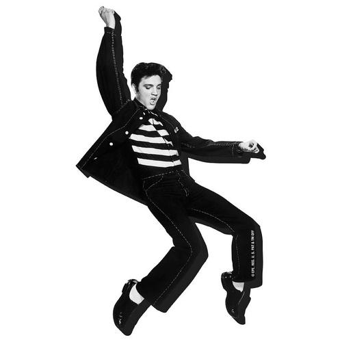 Elvis Jailhouse Chunky Magnet
