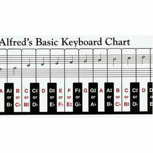 Alfred's Basic Keyboard Chart, Two Sided Fold Out 5 Octaves