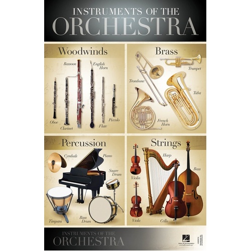 Instruments Of The Orchestra Poster 22 x 34 Inch Inch