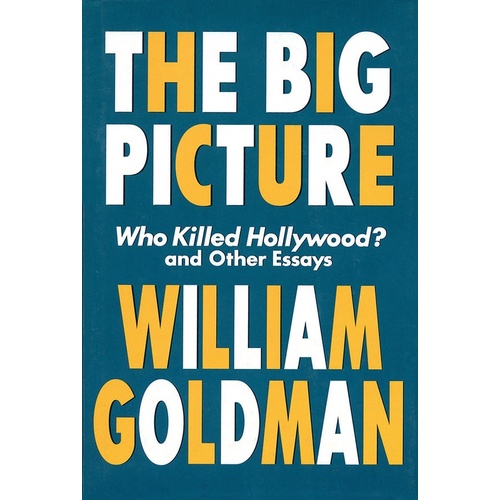The Big Picture (Paperback) (Softcover Book)