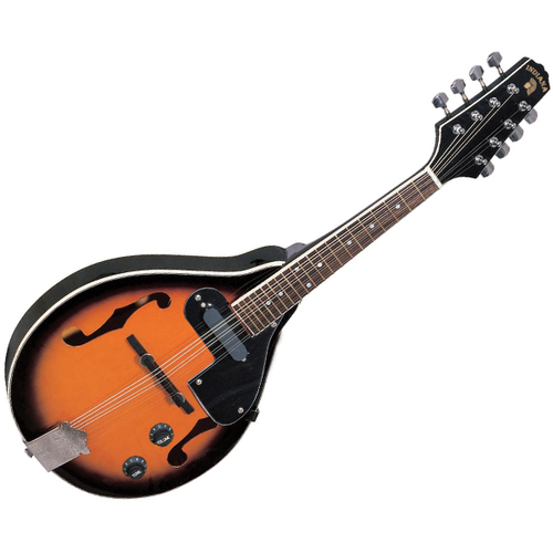Indiana Mandolin - A-Style w/Pickup. F-Holes B-M1E