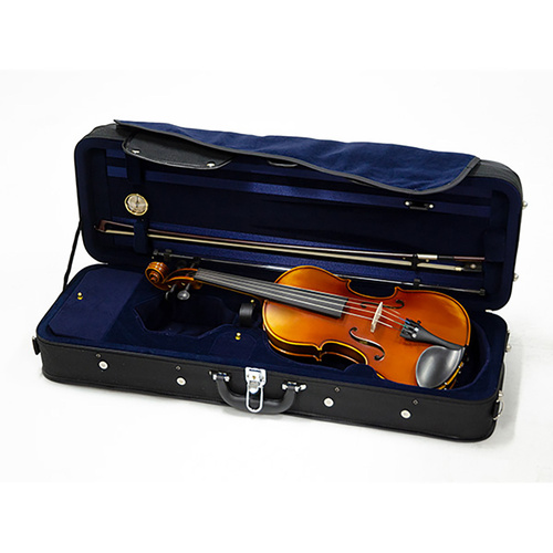 Raggetti RV5 Viola Outfit 15in with Case and Brazilwood Bow