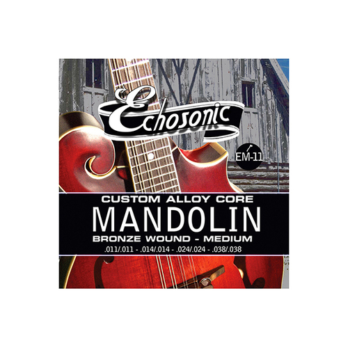 Echosonic Mandolin strings (11-38) Med