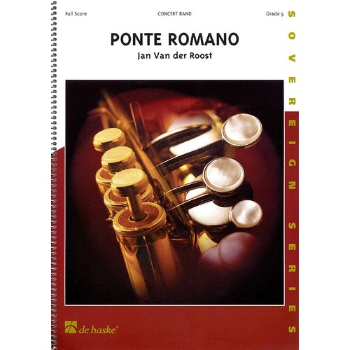 Ponte Romano 5-6 Book