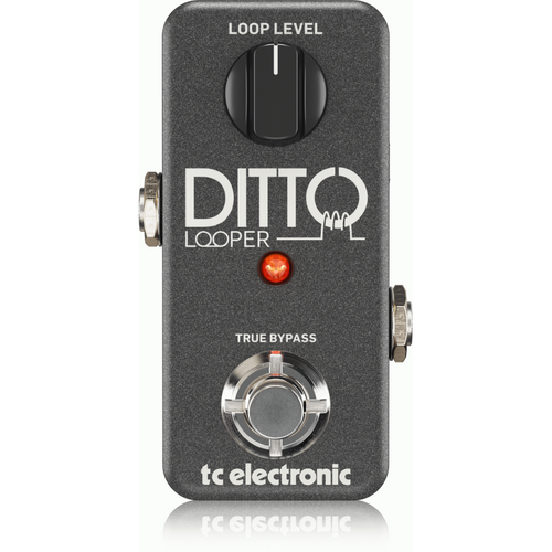 TC Electronic Ditto Looper Pedal with 5 Minutes Looping Time, Analog-Dry-Through and True Bypass
