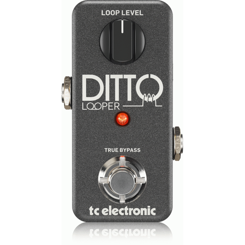 TC Electronic Ditto Looper Pedal with 5 Minutes Looping Time, Analog-Dry-Through, True Bypass