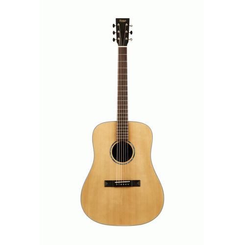 Tasman TA200-E Dreadnought Acoustic Electric With Premium Hard Case
