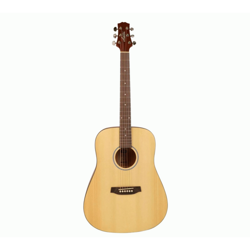 Ashton D20LNTM Left Handed Dreadnought Acoustic Guitar - Multiple Color Options Available