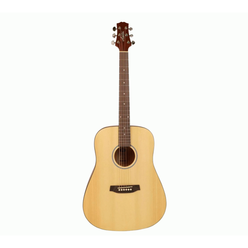 Ashton D20LNTM Left Handed Acoustic Dreadnought Guitar - Multiple Colors Available