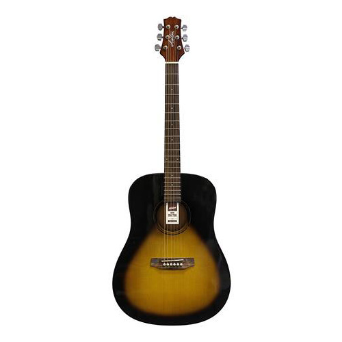 Ashton D20 Tsb Acoustic Guitar