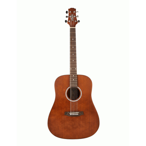Ashton D20 Ms Acoustic Guitar