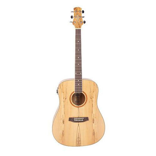 Ashton D26EQ SPM Acoustic Guitar w/ Pickup (Spalted Maple)