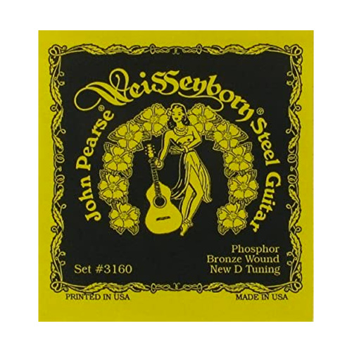 John Pearse 3160 Phosphor Bronze Weissenborn Guitar Strings D 15-60