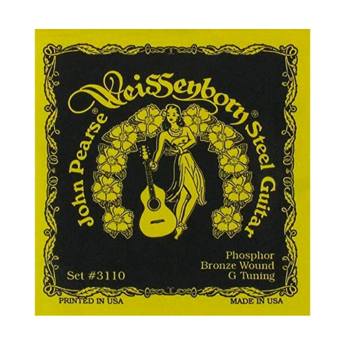 John Pearse 3110 Phosphor Bronze Weissenborn Guitar Strings G 17-62