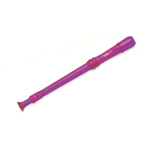 Angel 2 Piece Purple Recorder with Cleaning Rod and Fingering Chart