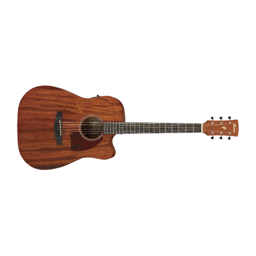 Ibanez PF12MHCE Acoustic Guitar