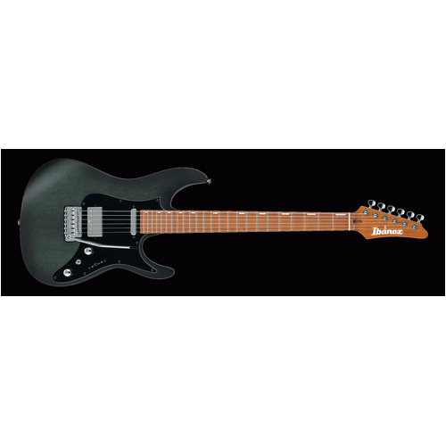Ibanez EH10 TGM Erick Hansel Premium Electric Guitar W/Bag (Transparent Green Matte)