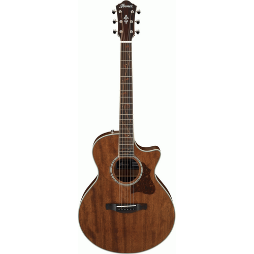 Ibanez AE245JR Junior Acoustic Electric Guitar (Open Pore Natural)