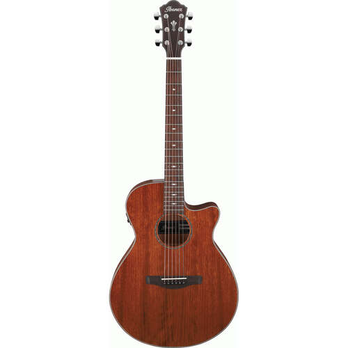 Ibanez AEG220 AEG Acoustic Guitar Natural Low Gloss
