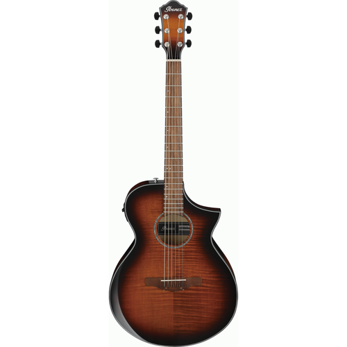Ibanez AEWC400 AMS Acoustic Guitar