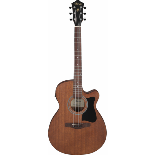 Ibanez VC44CE OPN Acoustic Guitar with Pickup