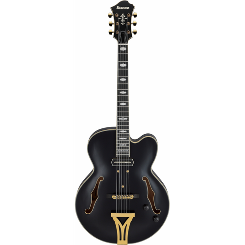 Ibanez PM3C BKL Pat Metheny Signature Jazz Guitar